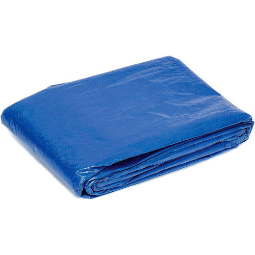 Global™ Light Duty Tarp, Blue