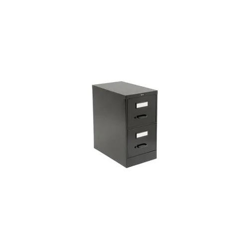 2 drawer file cabinet (letter sized files)