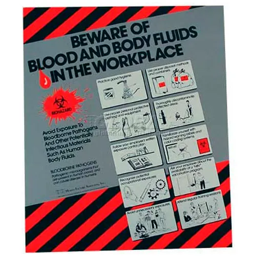 Poster, Bloodborne Pathogens, 24 X 20