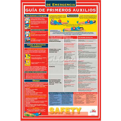 Poster, First Aid Guide (Spanish), 18 x 24