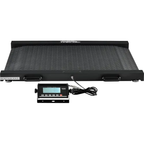 Industrial Digital Floor Weight Scale  Technopack Corp – Technopack  Corporation