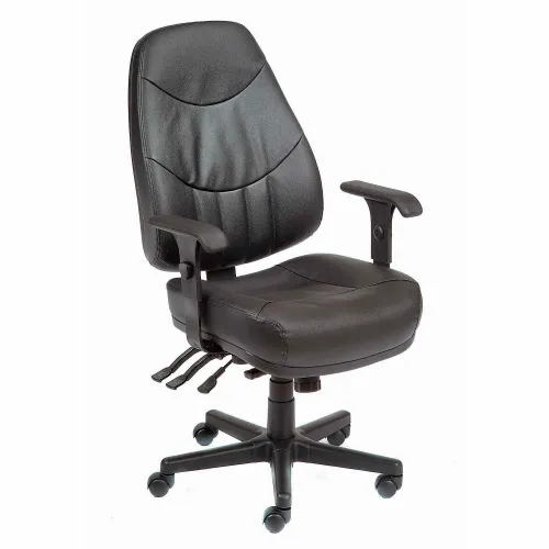 AYEASY Office Chair with Lumbar Support, High Back Arm Padded Tall  Executive Office Chair, Ergonomic Modern Leather Desk Chair, Adjustable  Black
