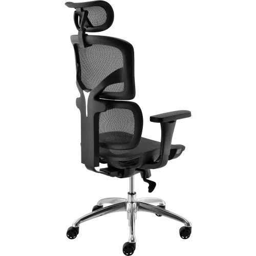 Interion Ergonomic Chair With High Back Adjustable Arms Mesh