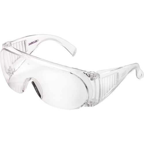 Visitor Specs - Clear Frame, Clear Lens, No coating