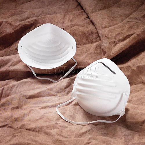 Nuisance Dust Mask