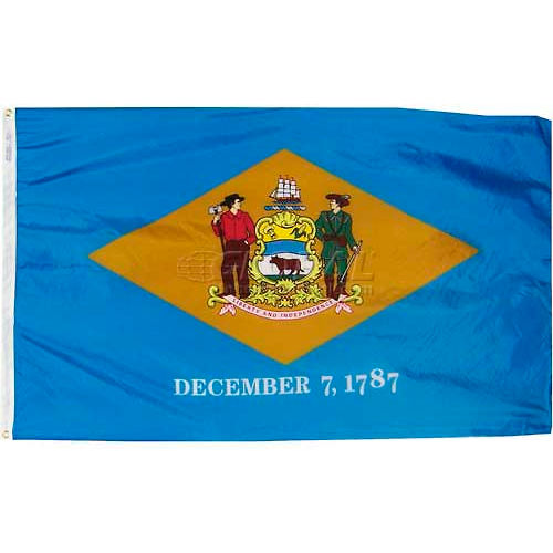 3X5 Ft. 100% Nylon Delaware State Flag