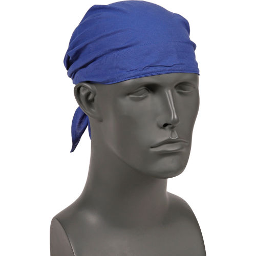 Ergodyne® Chill-Its® 6710 Evaporative Cooling Triangle Hat, Blue