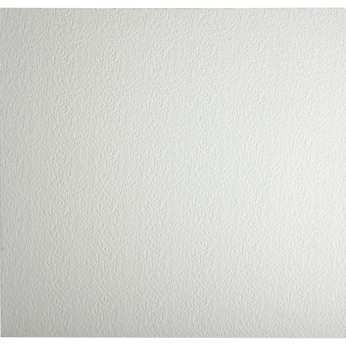 Genesis Stucco Pro Ceiling Panel 760-00, Waterproof & Washable, 2ftL