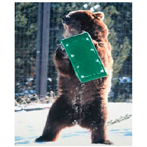 High Country Plastics Bear Box, Set of 2, Green