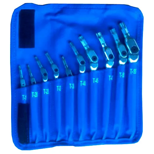 Bondhus 00022 T15-T55 Hex Pro™ 10 Pc. Pivot Head Star Wrench Set