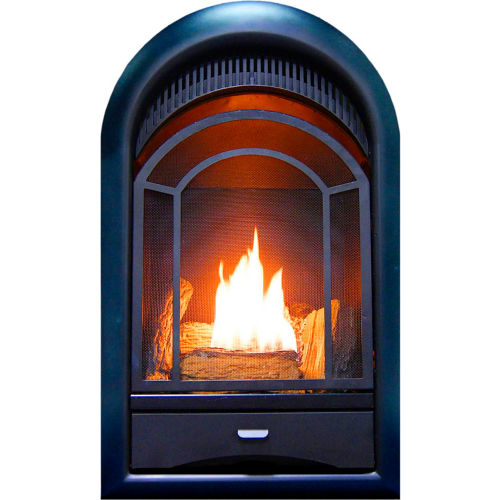 ProCom Dual Fuel Ventless Gas Fireplace Insert, Arched Door, 15000 BTU, T-Stat Control