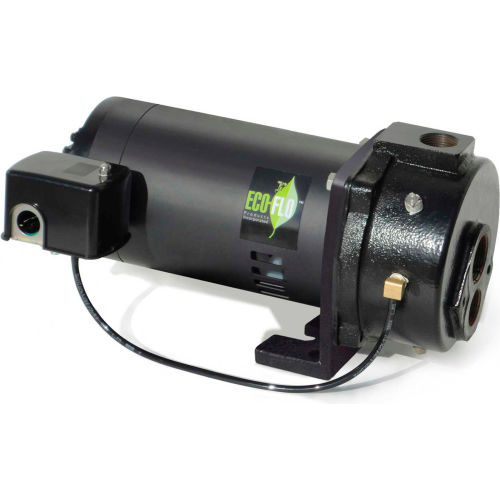 Eco Flo EFCWJ10 Deep Well Convertible Jet Pump - 1-1/4 In. FNPT Inlet- 1 HP - 115/230V - 14.8 GPM