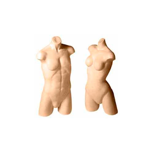 Ladies' Active Wear Torso Form
