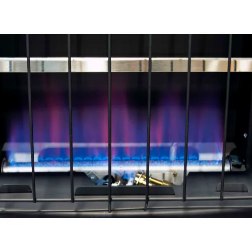 Dyna-Glo LP/NG Dual Fuel Blue Flame Vent Free Thermostatic Garage Heater  GBF30DTDG-4 - 30,000 BTU