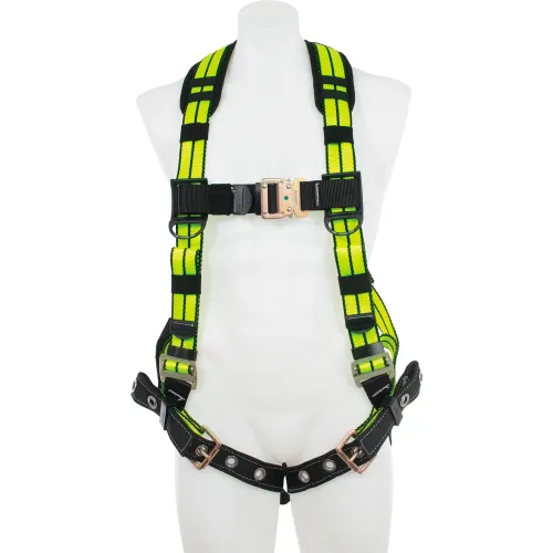 H062141, Harnesses