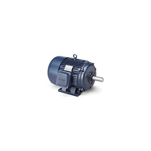 Leeson Electric