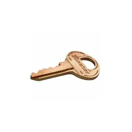 Master Lock® No. K1695CM Master Key For 1695MKADA