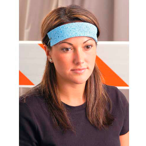OccuNomix Traditional Absorbent Cellulose Sweatbands 100/Pack, SBR100