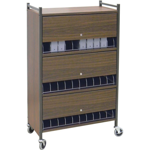 Omnimed® Standard Vertical Cabinet Chart Rack with Locking Panel, 30 Binder Capacity, Gray