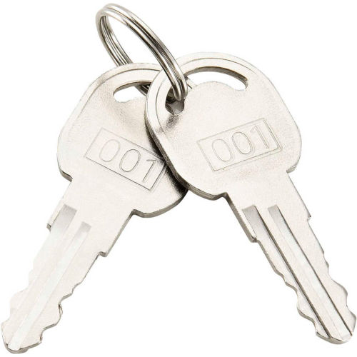 Replacement Keys For Outer Door of Global™ Narcotics Cabinets, Set of 2 (Key# 001)
																			