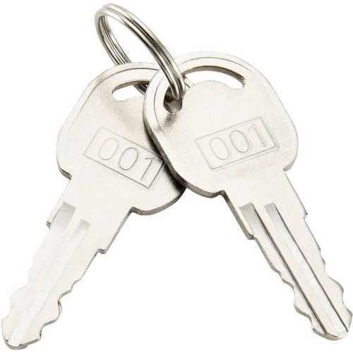 Replacement Keys For Outer Door of Global™ Narcotics Cabinets, Set of 2 (Key# 001)