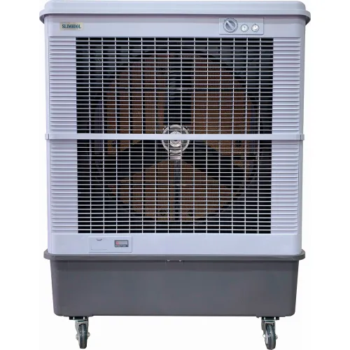 Mobile store air cooler