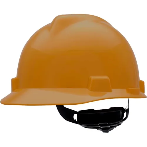 MSA Safety