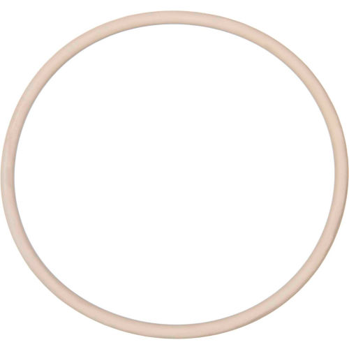 PTFE O-Ring-Dash 116 - Pack of 10