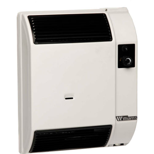 Williams High-Efficiency Direct-Vent Furnace 0743512 Natural Gas 7400 BTU