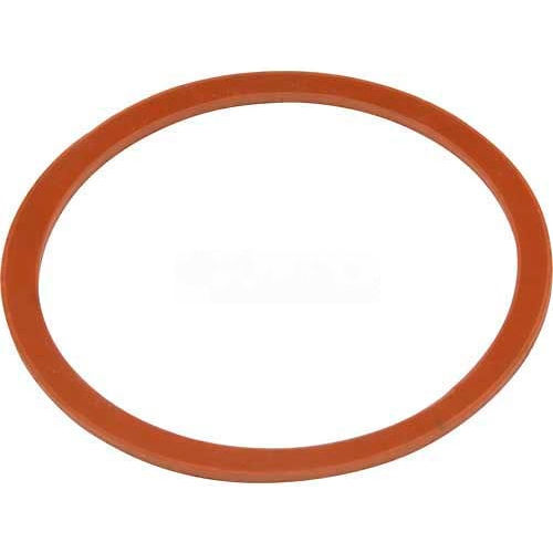 Zurn Replacement Gasket for Z1175 Hair Interceptor